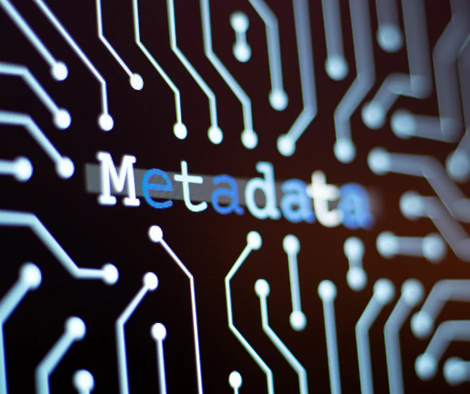 White and Blue text 'Metadata' on a futuristic and technical back and white background